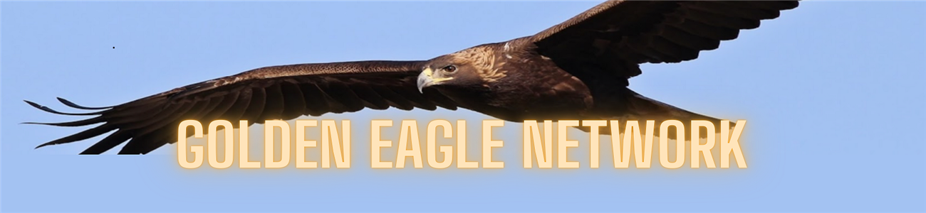 Eagle1 